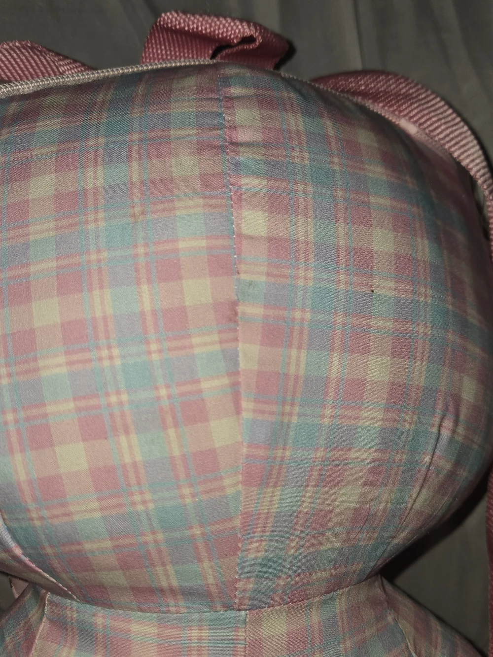 Hello Kitty Pink Plaid Plush Backpack with Matching Mini Bag Kawaii Gift Idea